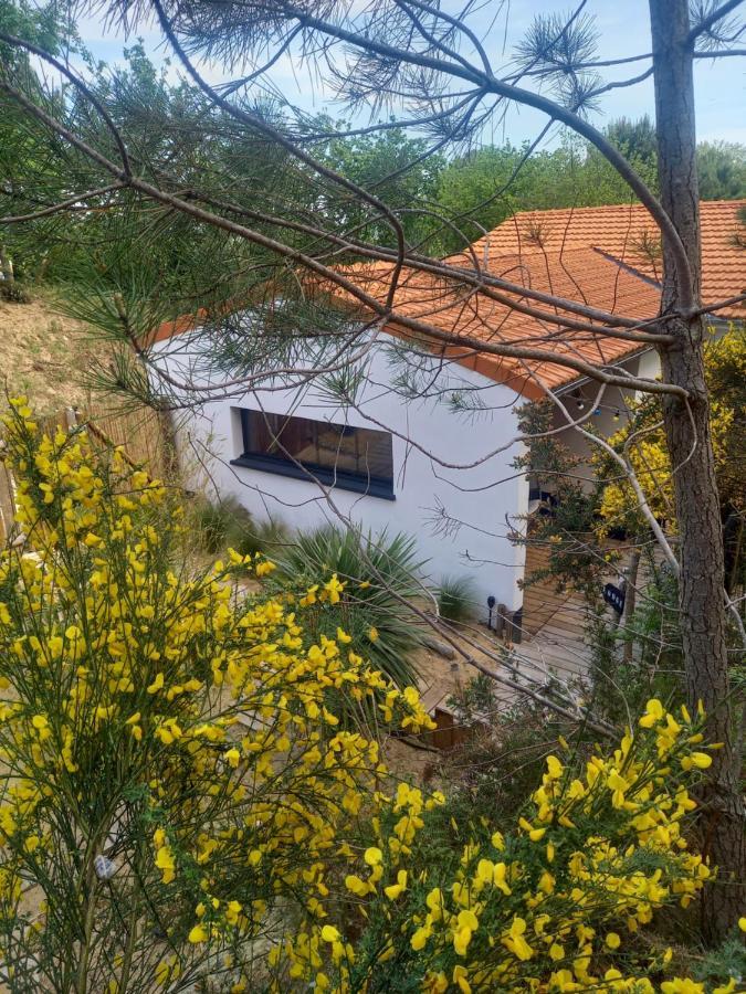 Cot'& Dune - Lodge D'Hote & Spa De Nage Saint-Augustin  Exterior photo